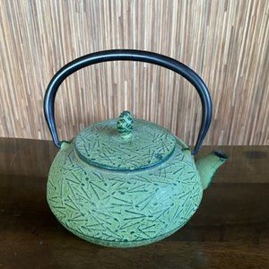 Asian Japanese Cast Iron Tea Pot Green